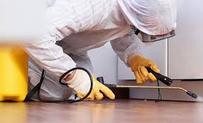 Best Fumigation Services  in Saks, AL